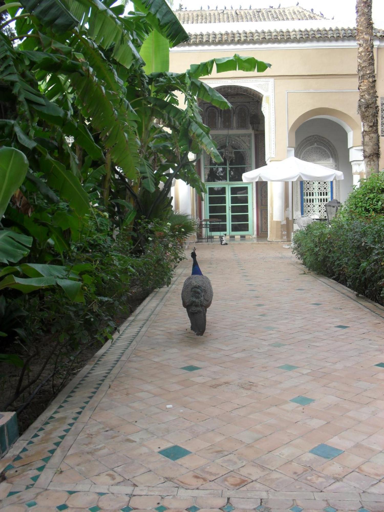 Palais Riad Hida Oulad Barrehil Exterior photo